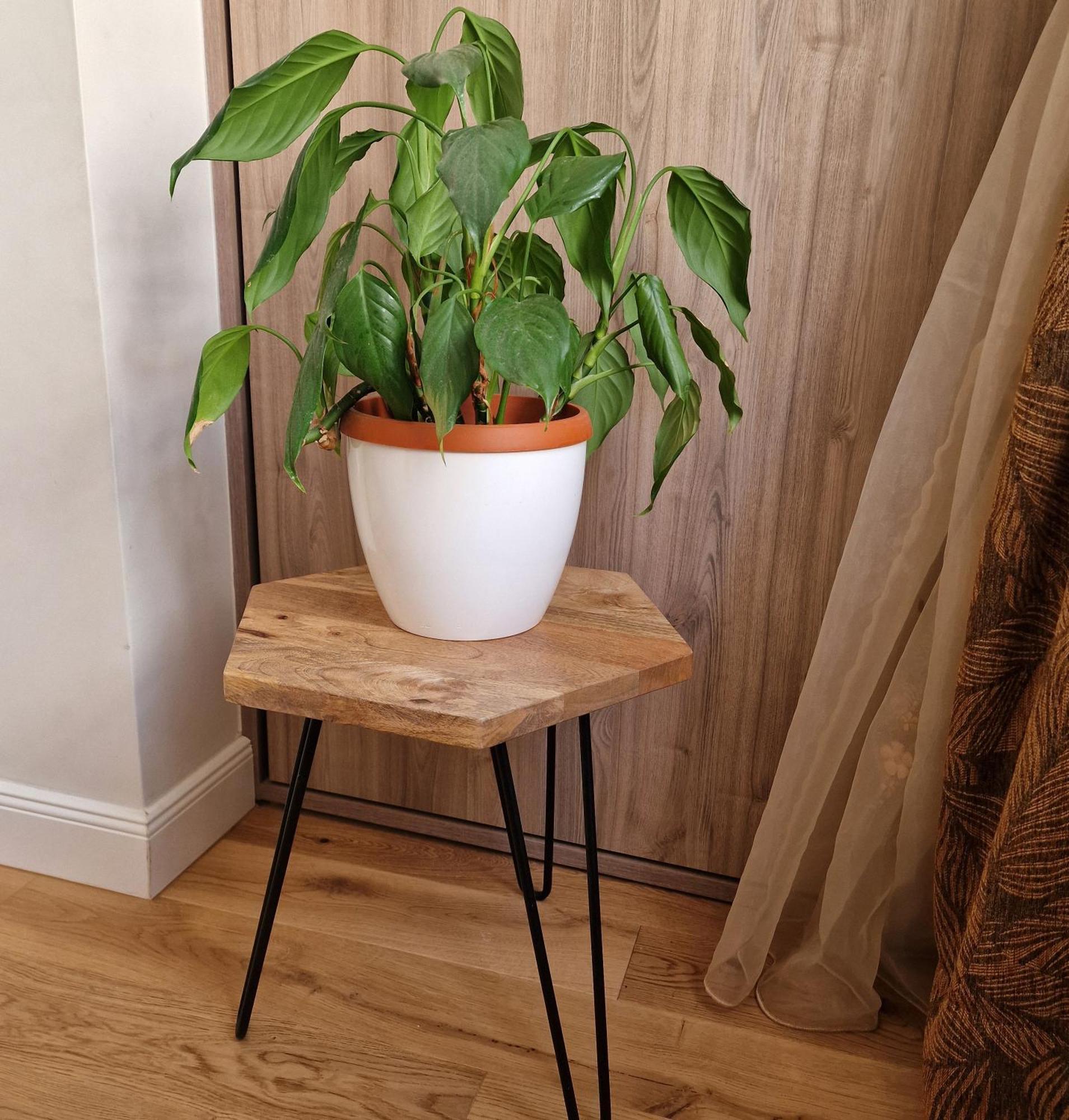 Apartman Dominovic Omiš Екстериор снимка