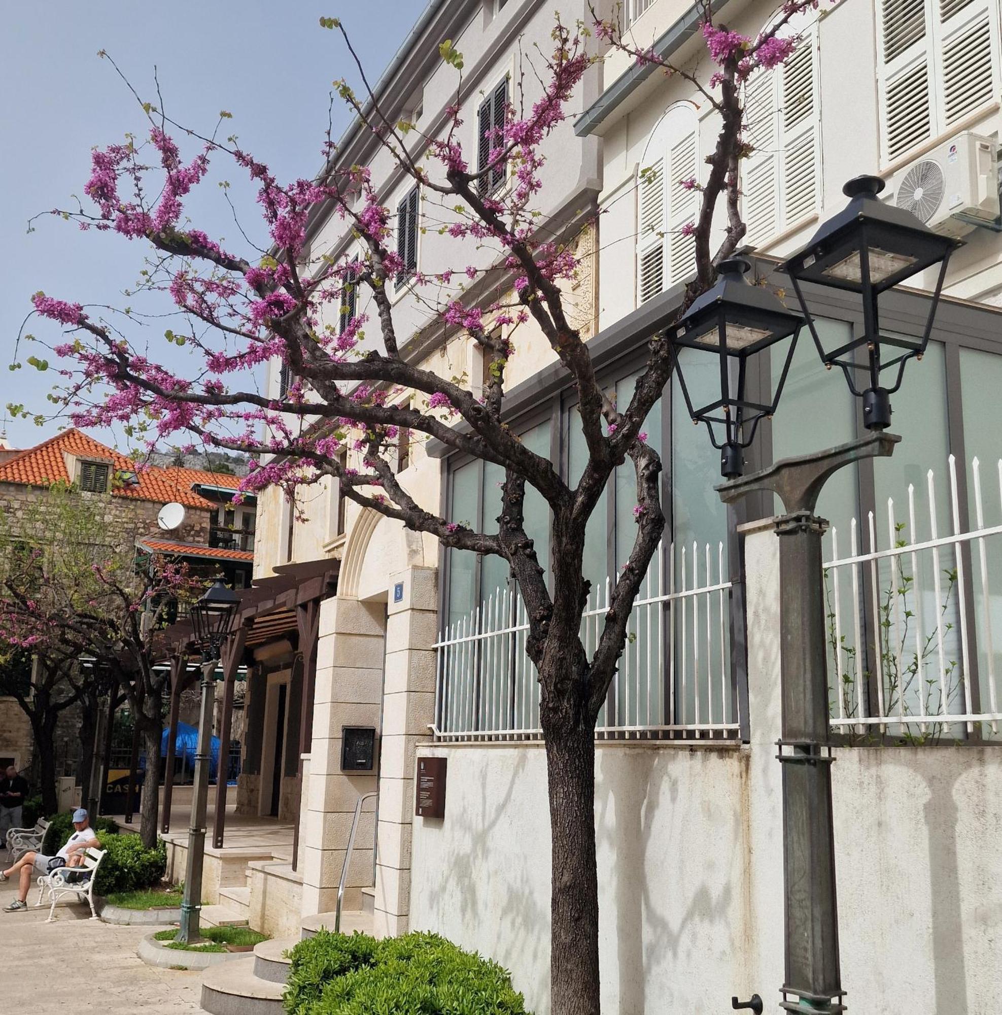 Apartman Dominovic Omiš Екстериор снимка