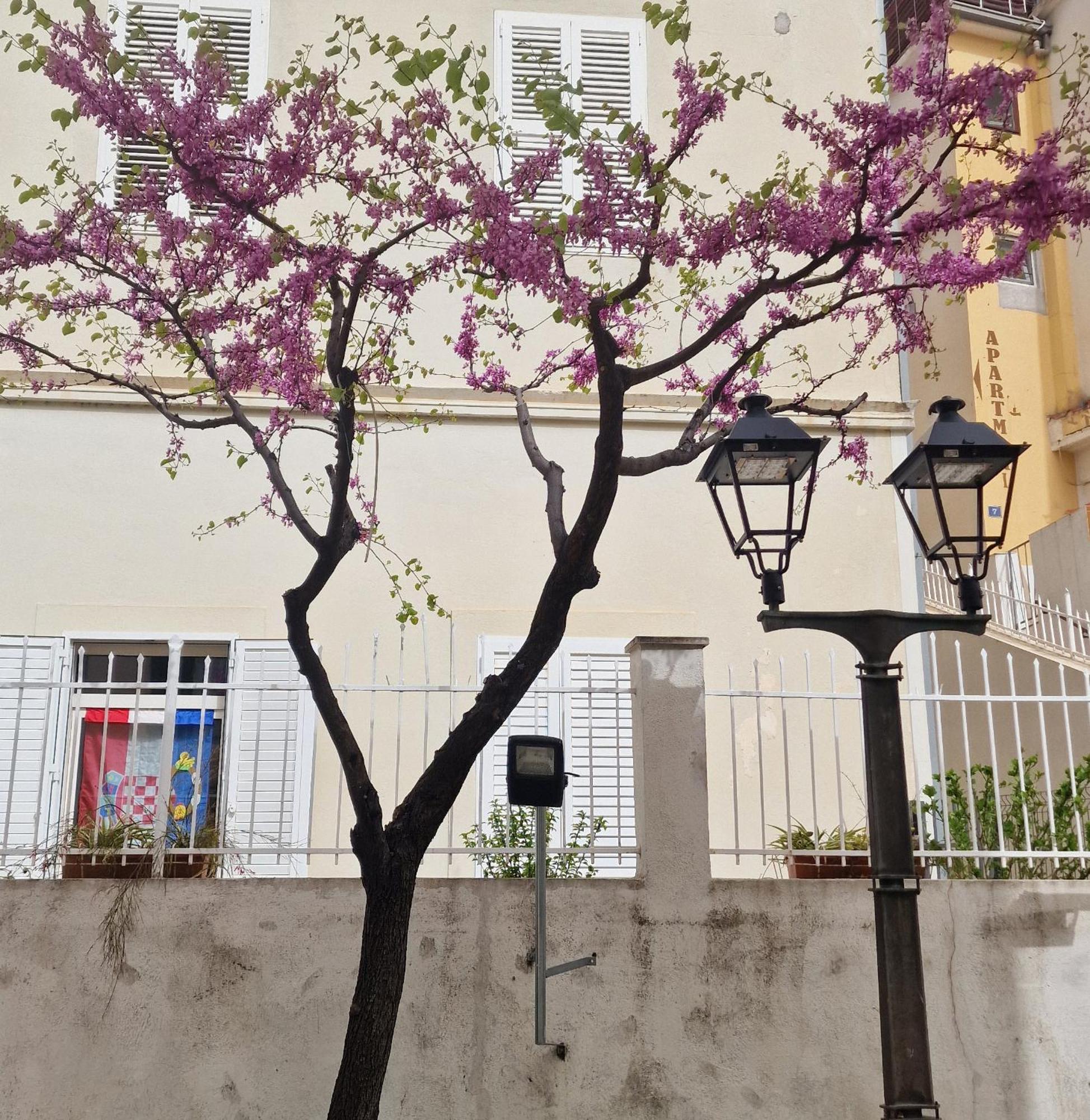 Apartman Dominovic Omiš Екстериор снимка